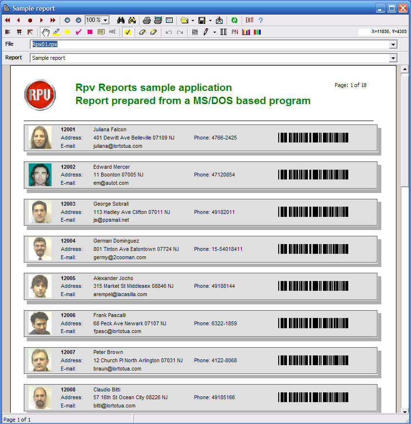 Rpv Reports Steel screen shot